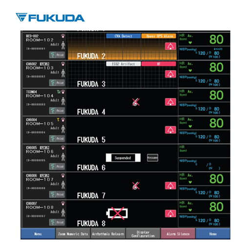 Monitor DS8900 Fukuda (2).jpg